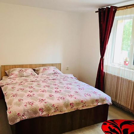 Casa Victoria Hotel Cartisoara Ngoại thất bức ảnh