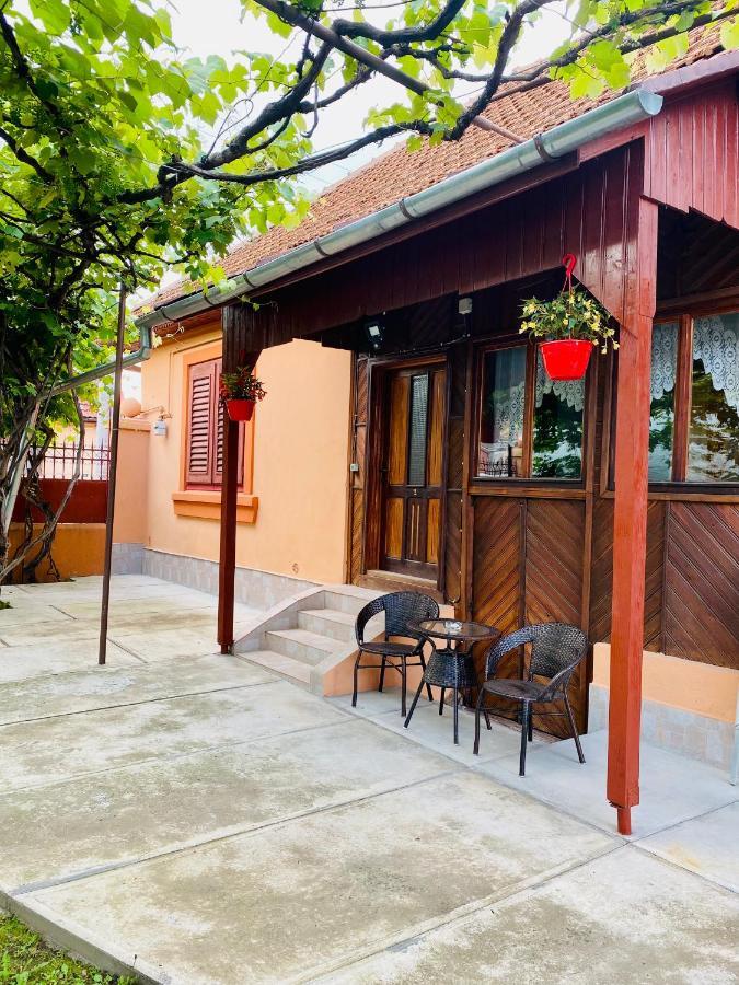 Casa Victoria Hotel Cartisoara Ngoại thất bức ảnh