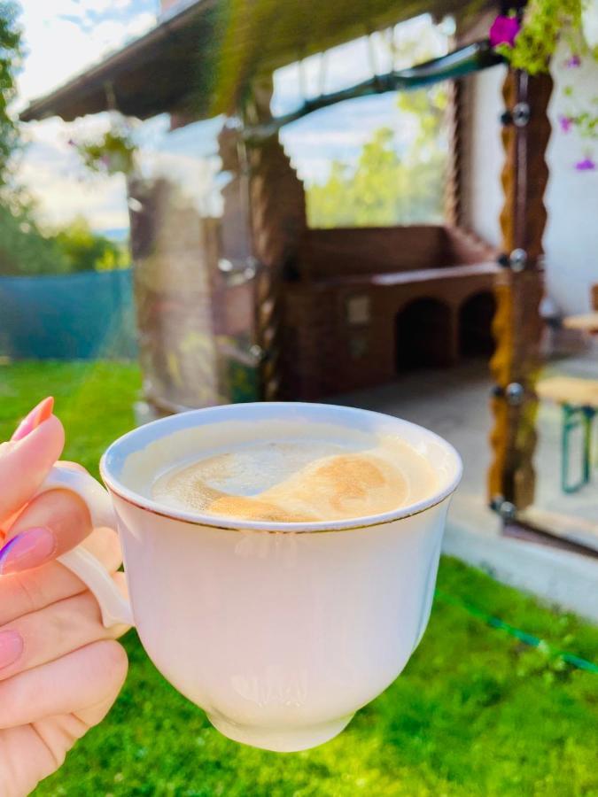 Casa Victoria Hotel Cartisoara Ngoại thất bức ảnh