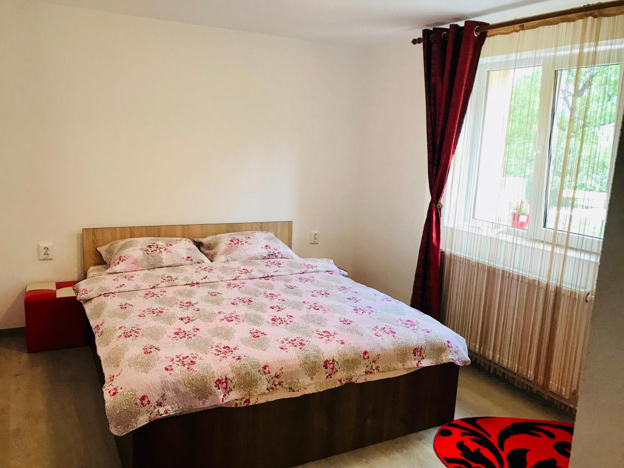 Casa Victoria Hotel Cartisoara Ngoại thất bức ảnh