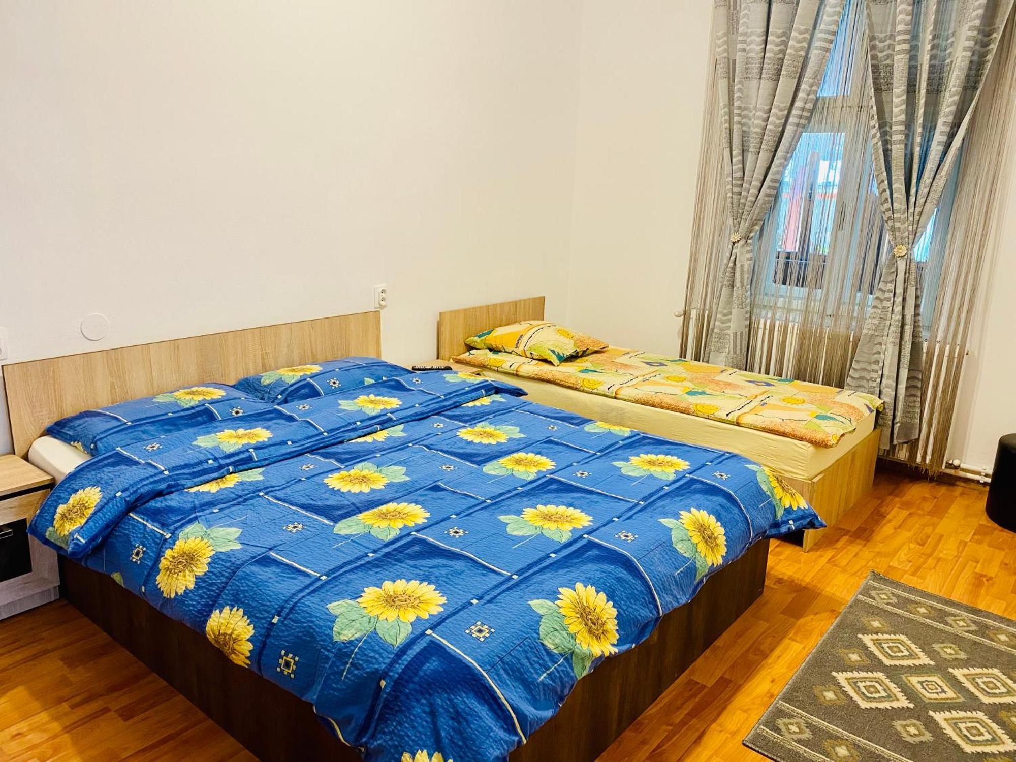Casa Victoria Hotel Cartisoara Ngoại thất bức ảnh